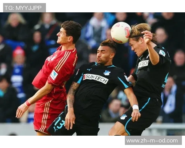 拜仁慕尼黑主场迎战霍芬海姆期待精彩对决与胜利的较量